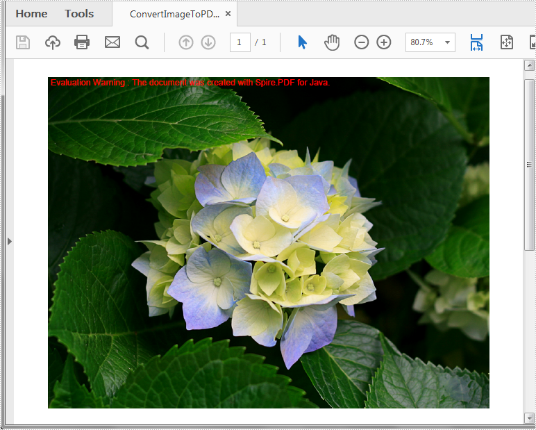 如何用Java語言將圖像轉(zhuǎn)換為PDF？Spire.PDF for Java輕松搞定！