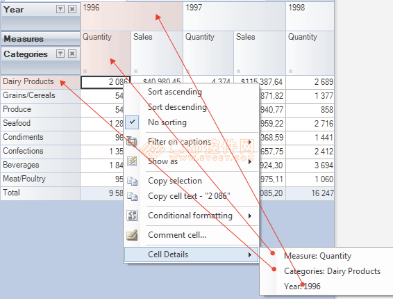 RadarCube ASP.NET OLAP計(jì)算方法詳解-BI項(xiàng)目開(kāi)發(fā)